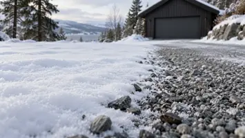 Grus ved kanten av et snødekket gårdsrom.